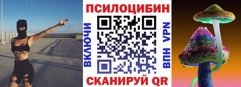 ОМГ ОМГ как зайти  Сунжа  Псилоцибиновые грибы Psilocybine cubensis 